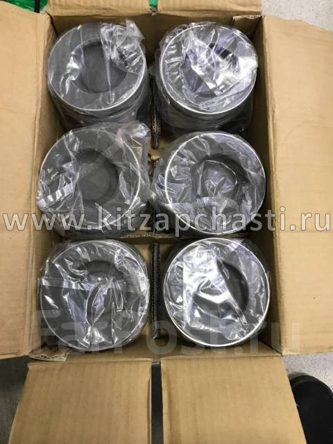 Поршневая группа WD615 WP10 SHACMAN WD615E2-3A-1